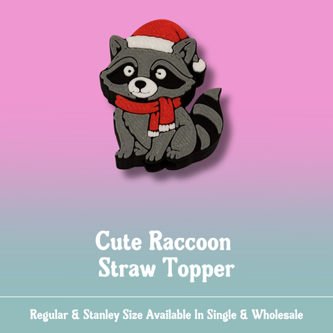 Cute Winter Raccoon