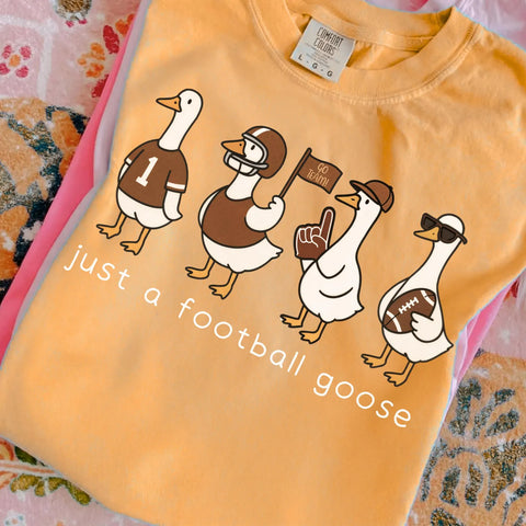 DTF Full Color Transfer - Just A Football Goose