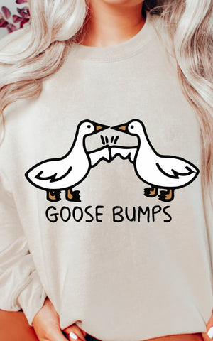 Goose Bumps - DTF Full Color TShirt Transfer