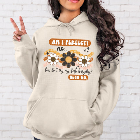 DTF Full Color TShirt Transfer - Am I Perfect?