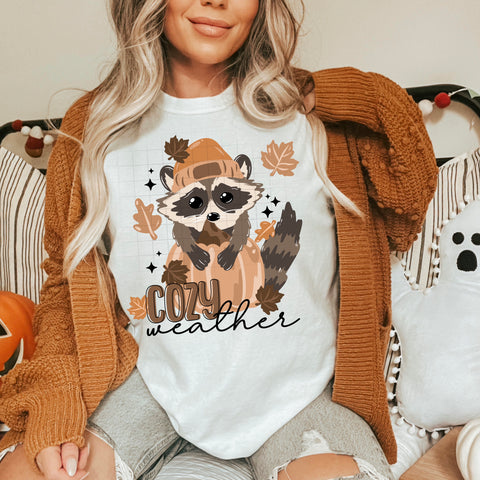 DTF Full Color Transfer - Cozy Weather Raccoon