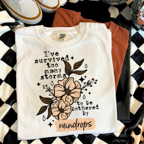 DTF Full Color Transfer - I've Survived Too Many Storms Neutral (White or Black Font)
