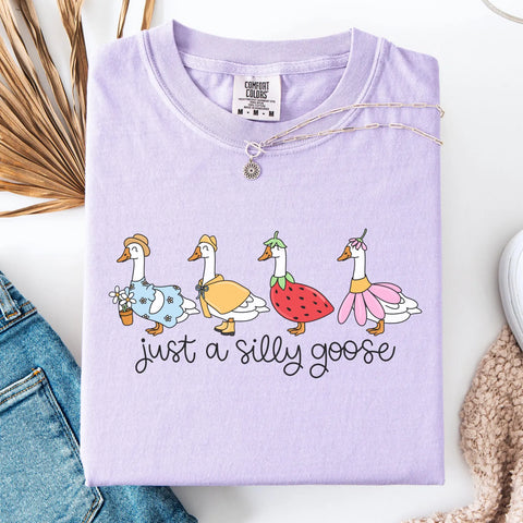 DTF Full Color Transfer - Just A Silly Goose