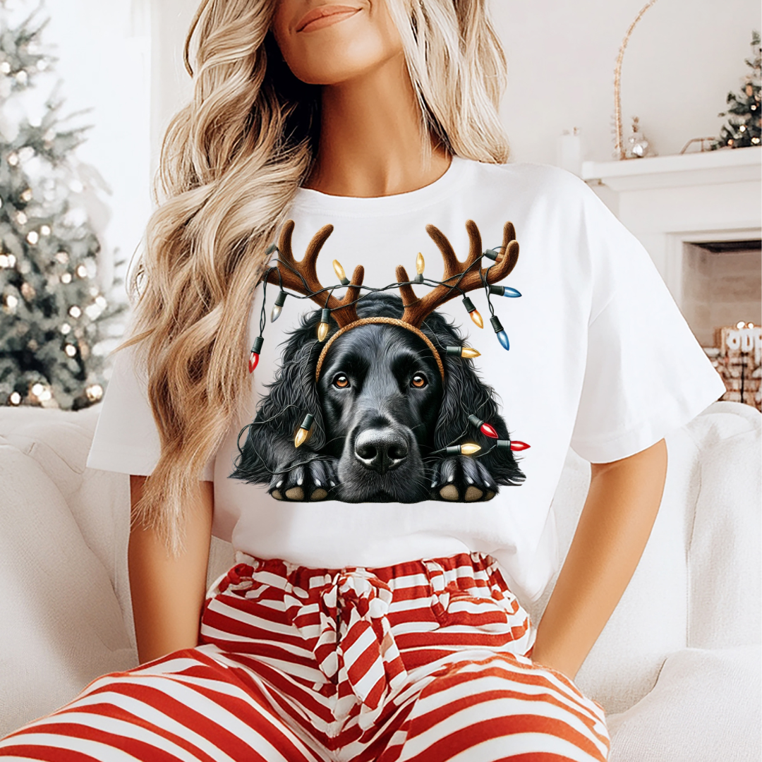 DTF Full Color TShirt Transfer - Reindeer Pup