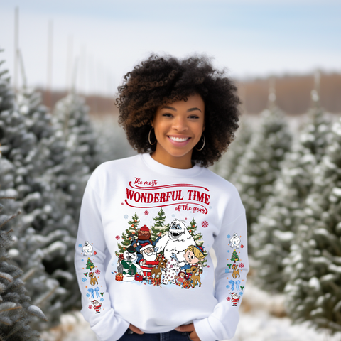 DTF Full Color TShirt Transfer - The Most Wonderful Time - FREE SLEEVES!