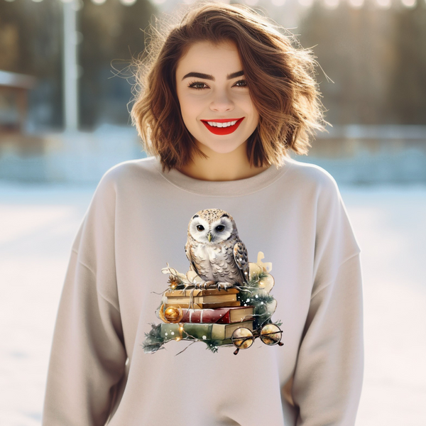 DTF Full Color TShirt Transfer - Wizard Owl Christmas