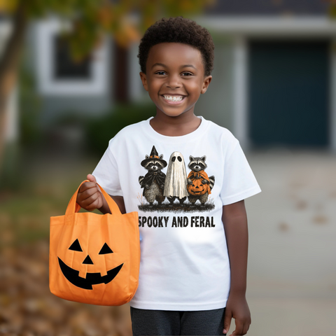 DTF Full Color Transfer - Spooky & Feral Halloween Raccoons