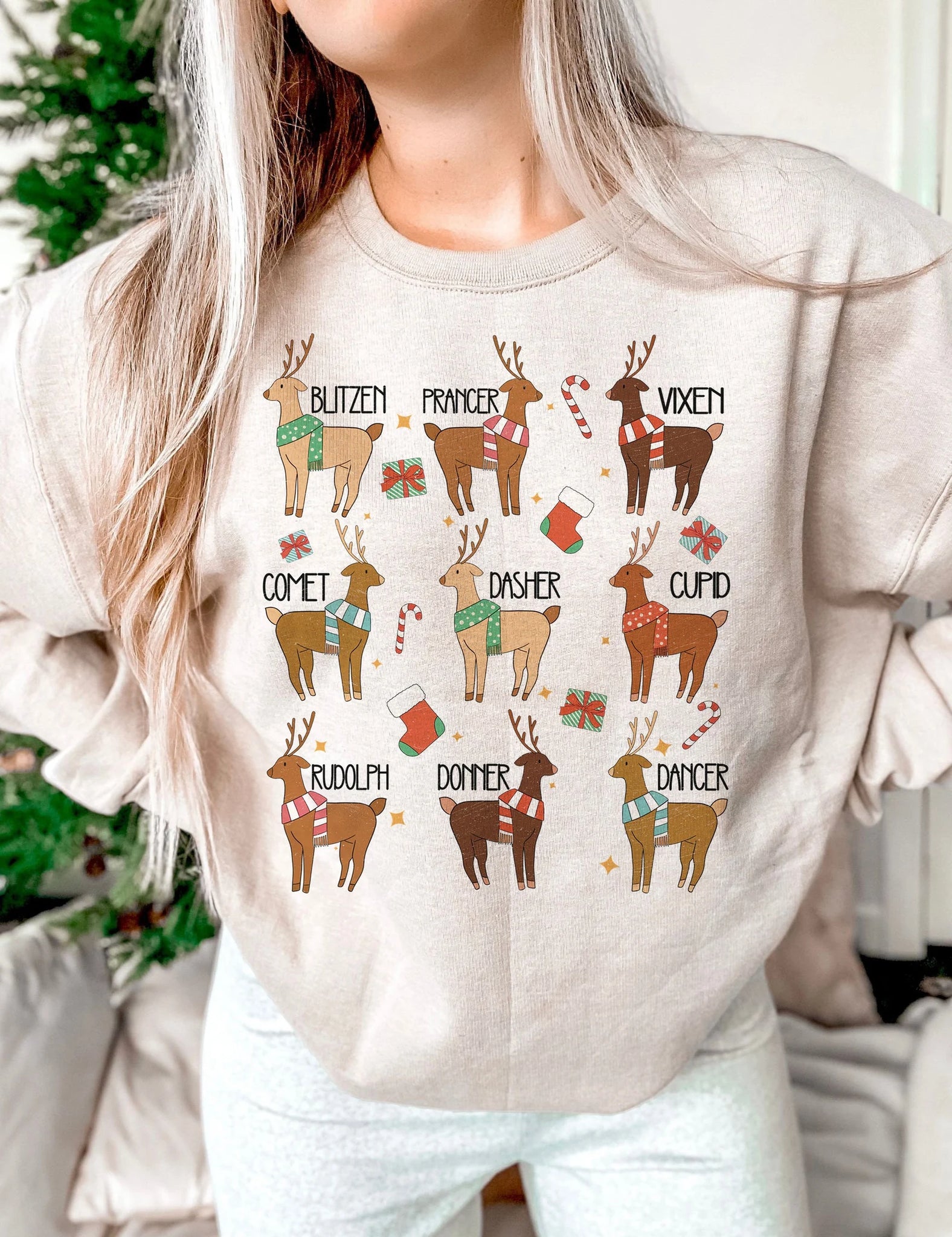 DTF Full Color TShirt Transfer - Cute Reindeer