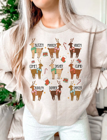 DTF Full Color TShirt Transfer - Cute Reindeer