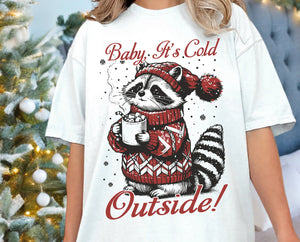 DTF Full Color TShirt Transfer - Baby It's Cold Outside Raccoon