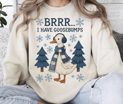 DTF Full Color TShirt Transfer - Brr I Have Goosebumps