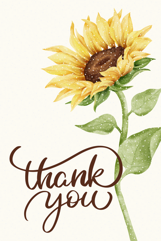 Sunflower Thank You Cards Insert Cards